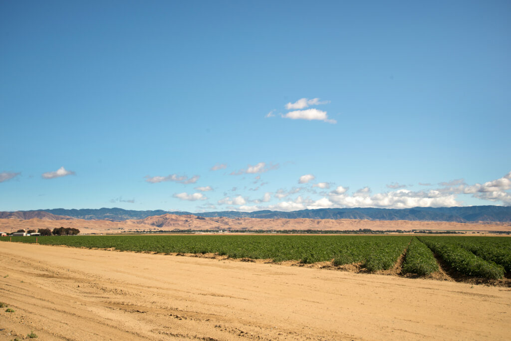 Pacific Ag Rentals